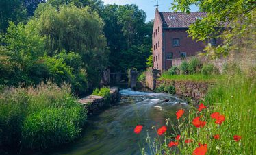 haspengouw-fietsvakantie