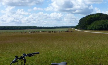 fietsvakantie-noord-seeland-denemarken