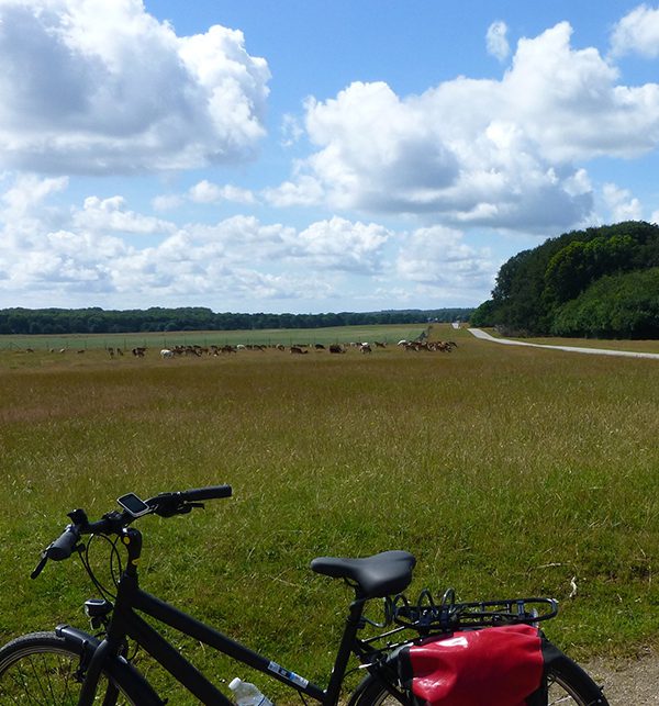 fietsvakantie-noord-seeland-denemarken