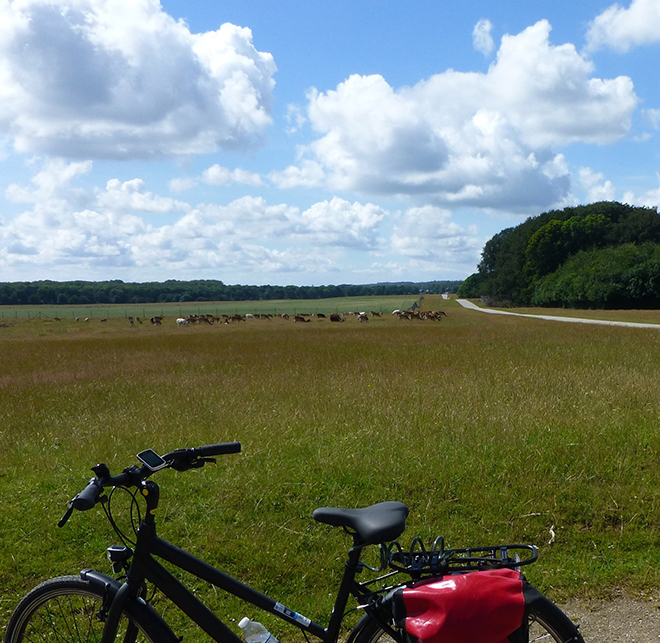 fietsvakantie-noord-seeland-denemarken