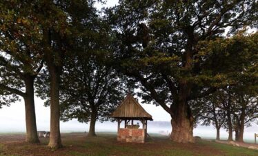fietsvakantie twente