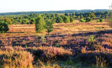 fietsvakantie twente