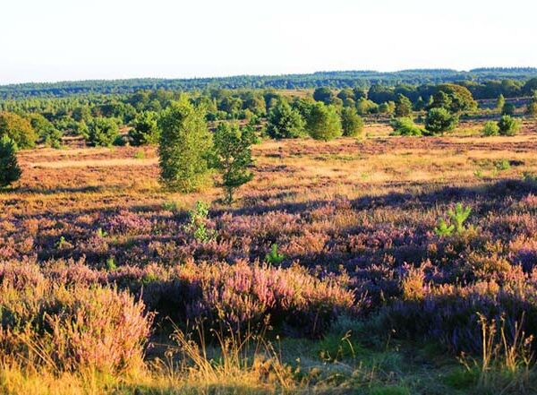 fietsvakantie twente